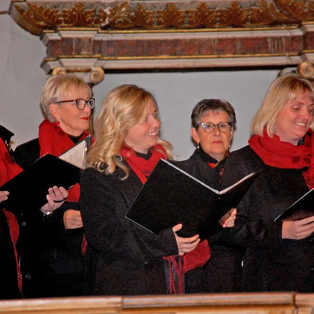 Frauenchor Cantare, Galerie, Konzerte über das Jahr