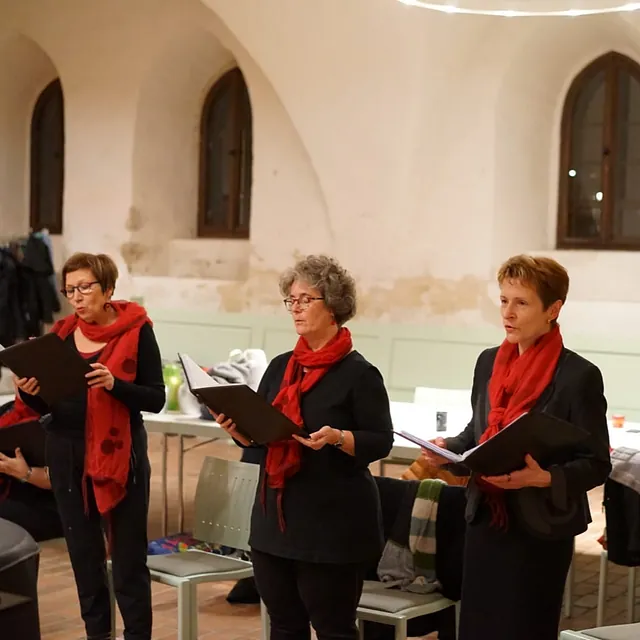 Frauenchor Cantare, Unsere Proben