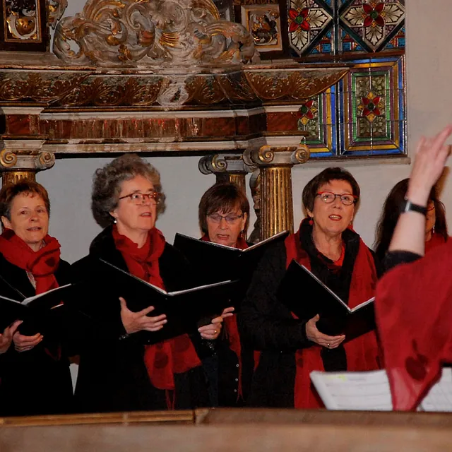 Frauenchor Cantare, Galerie, Konzerte über das Jahr