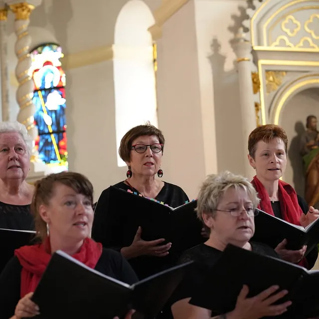 Frauenchor Cantare, Galerie, Konzerte über das Jahr