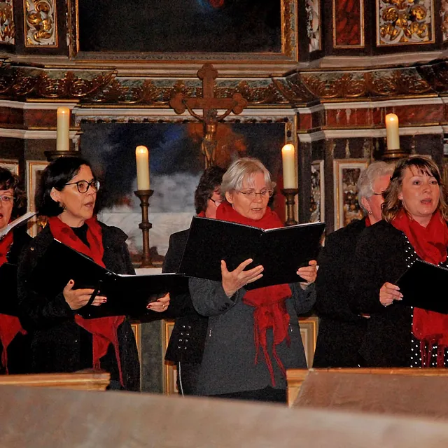 Frauenchor Cantare, Galerie, Konzerte über das Jahr