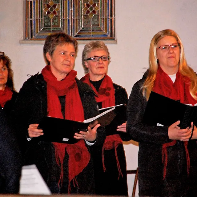 Frauenchor Cantare, Galerie, Konzerte über das Jahr
